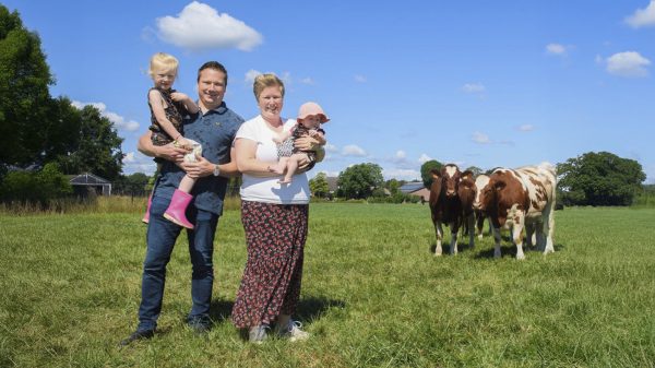 Excursie: Op Pad door het Diessens Broek - Afbeelding 6