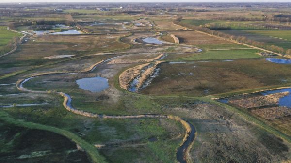 Excursie: Op Pad door het Diessens Broek - Afbeelding 4