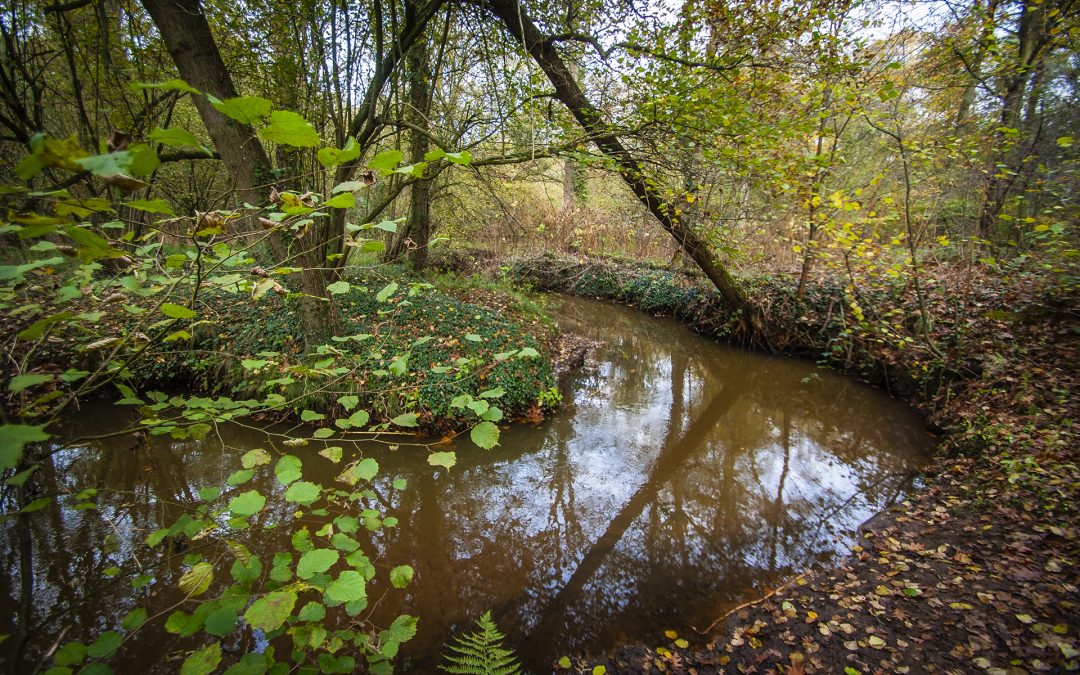 Lezing over de Reusel