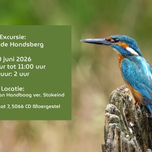 20 juni excursie Oude Hondsberg