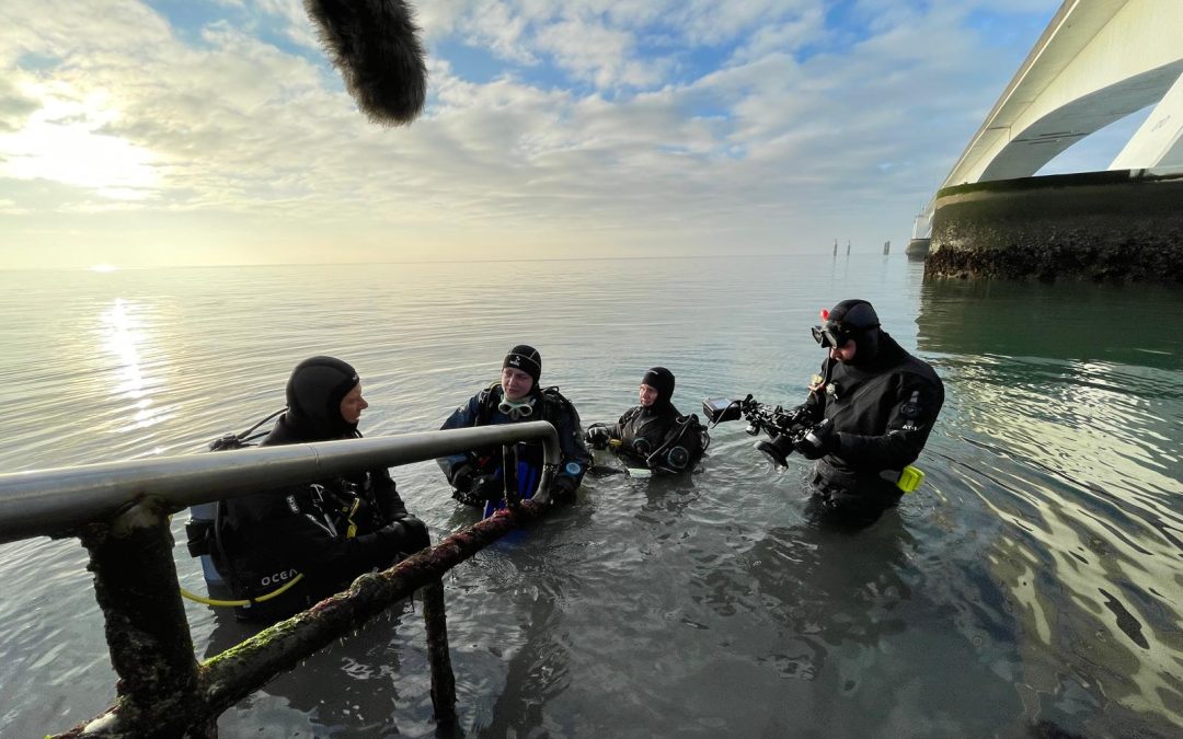 30 maart: Nieuwe afleveringen Vroege Vogels