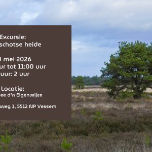 30 mei excursie Landschotse heide