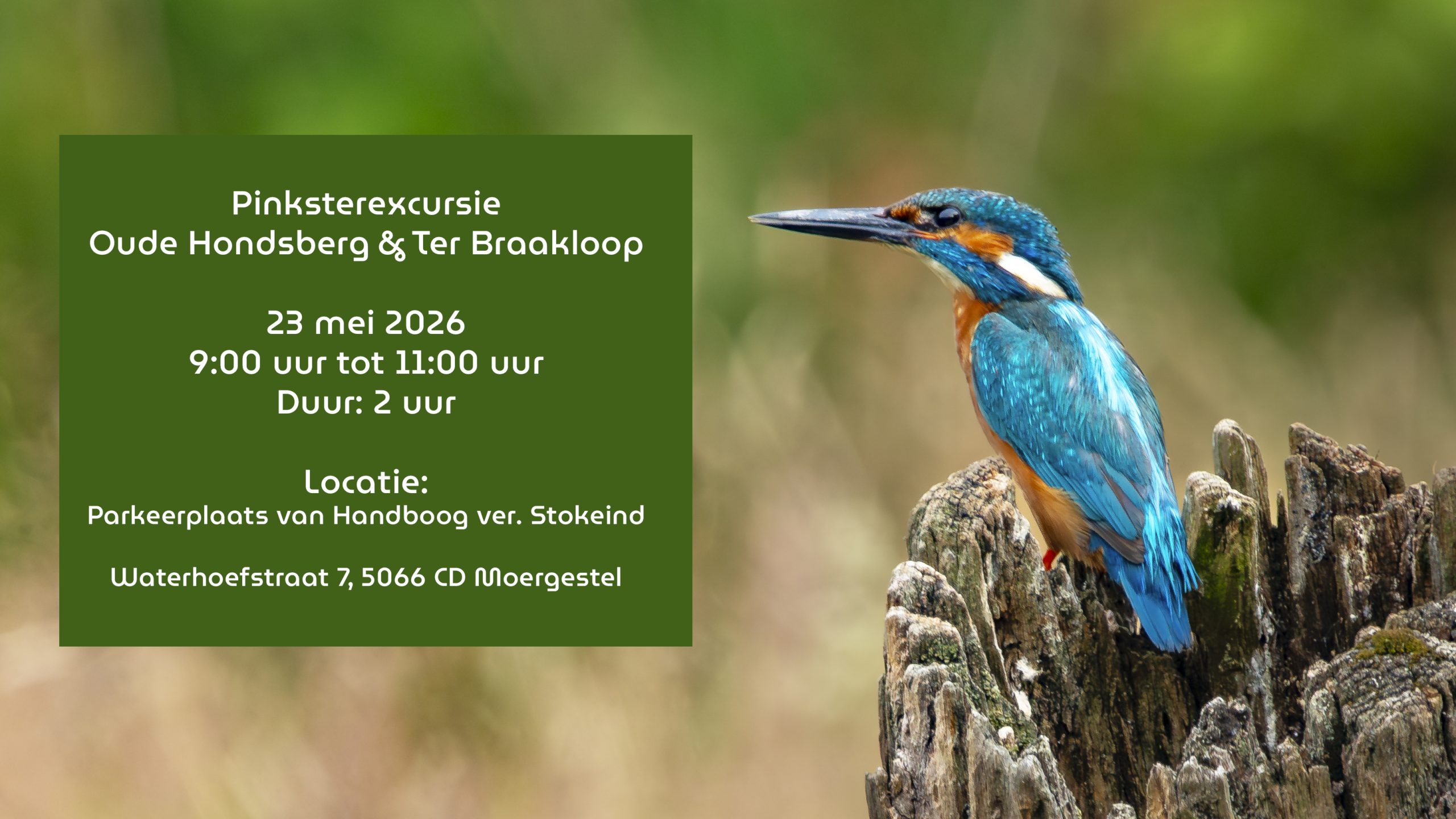Pinksterexcursie Oude Hondsberg en Ter Braakloop