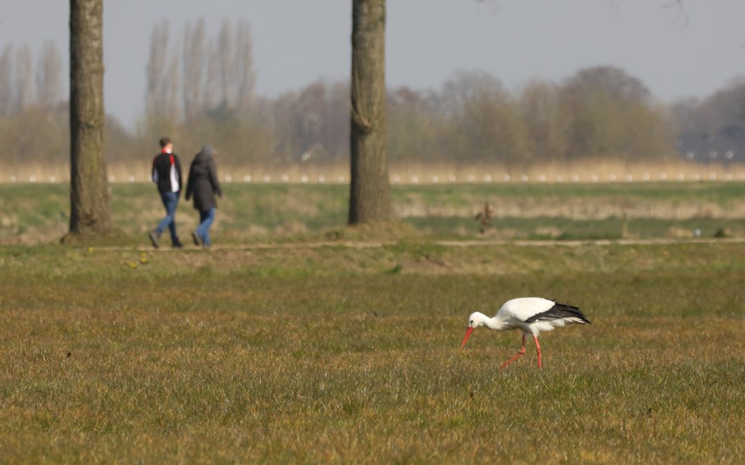 Ga mee Op Pad door het Diessens Broek
