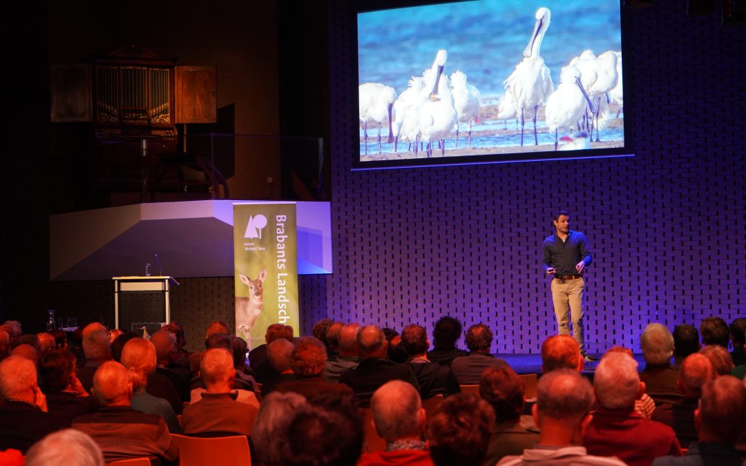 In het kielzog naar Afrika